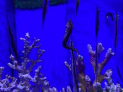 -多彩贵州城极地海洋世界