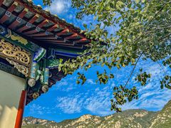 -禅宗少林·音乐大典