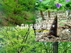 -句容茅山景区