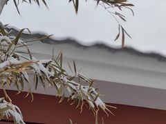 -静之湖度假区