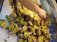 -圣罗巴海鲜烤肉自助(佳兆业店)