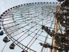 -南昌之星摩天轮