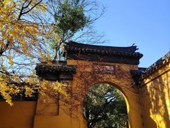 -西园戒幢律寺