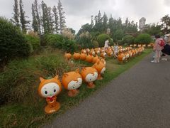 -上海长兴岛郊野公园