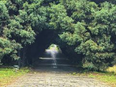 -秦始皇帝陵博物院-丽山园