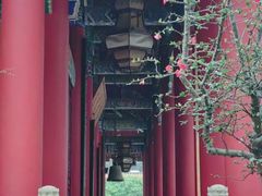 -都江堰普照寺