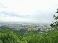 -杭州半山国家森林公园