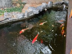 -南京晨光1865创意产业园