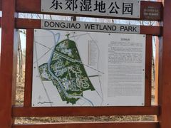 -东郊湿地公园