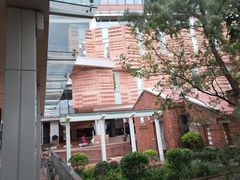 -香港大学