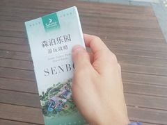 -杭州开元森泊度假乐园