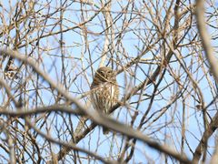 -西湖风景区-江洋畈生态公园