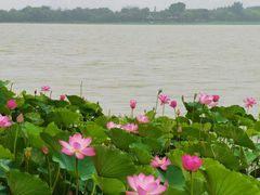 -云龙湖旅游景区