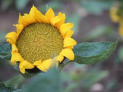 -玄武湖景区-情侣园游乐场