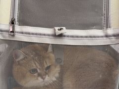 -瑞派康怡24h宠物医院·犬猫医疗中心·微创绝育(瑞景分院)