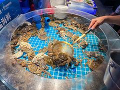 -山海•蒸汽活海鲜自助(皇庭广场店)
