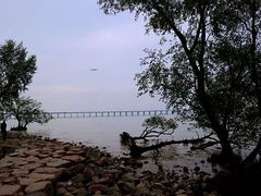 -宝安西湾红树林湿地公园