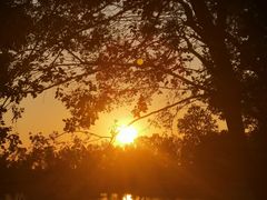 -武汉紫薇都市田园