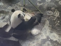 -济南野生动物世界