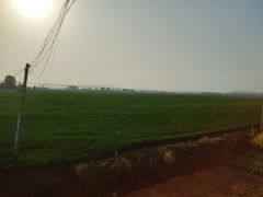 -嵖岈山风景区