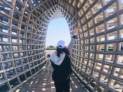 -南汇嘴观海公园