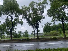 -东钱湖旅游度假区