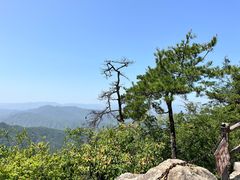 -王顺山国家森林公园