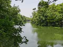 -白马涧龙池景区