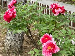 -江南大学(蠡湖校区)