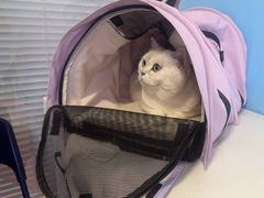 -瑞派福兴宠物医院犬猫全科·骨科·中西医结合(河东店)