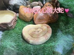 -广州长隆野生动物世界