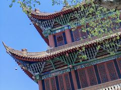 -成都动物园