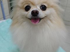 -庐州太太(鼓楼店)