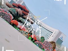 -国家动漫园