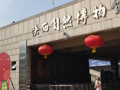 -陕西自然博物馆