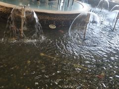 -碧中海汤泉汗蒸酒店