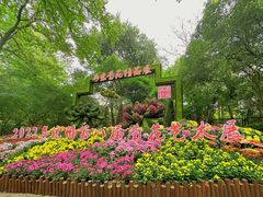 -杭州植物园