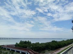 -宝安西湾红树林湿地公园