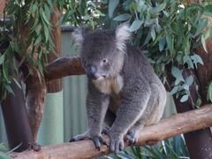 -费瑟代尔野生动物园