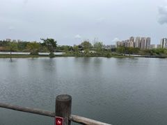 -眉山湿地公园(东坡区)
