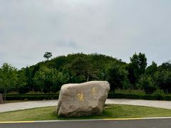 -洛阳古墓博物馆