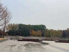 -大望京公园