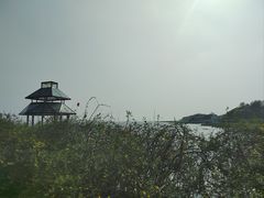-贡湖湾湿地公园