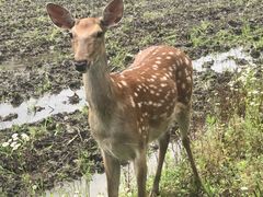 -广富林郊野公园