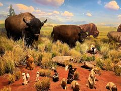 -陕西自然博物馆