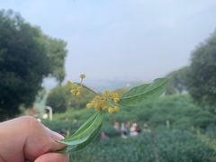 -西湖风景区十里琅珰-五云山