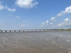 -南汇新城海滩