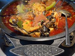 -探鱼·鲜青椒爽麻烤鱼(天一广场店)