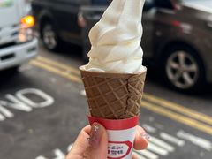 -富豪雪糕车流动点(尖沙咀店)