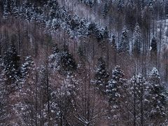-山王坪喀斯特国家生态公园